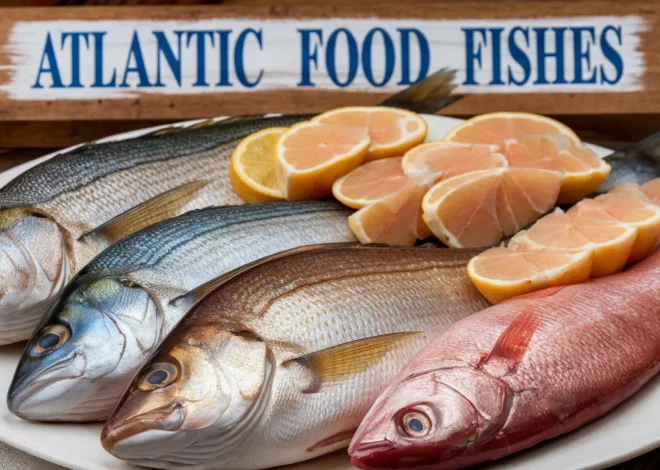 Atlantic Food Fishes Crossword Clue: A Guide for Enthusiasts